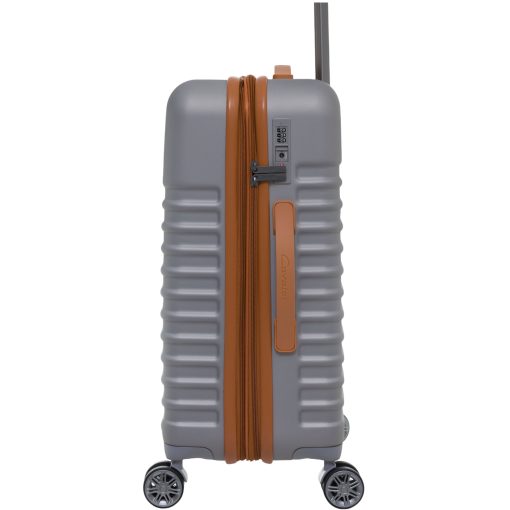Pasadena Medium Silver/Tan - Image 13