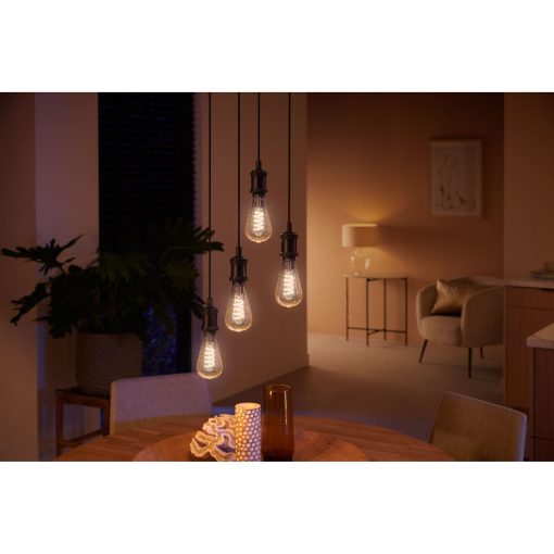 White Ambiance Filament E27 ST72 Edison - Image 6