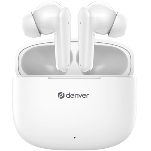 TWE-48W True wireless Bluetooth hörlur med laddetui