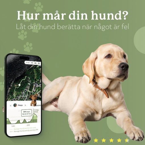 Lildog 2 GPS-Tracker för Hundar - Image 13