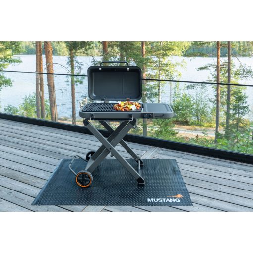 Gasolgrill Fold - Image 21