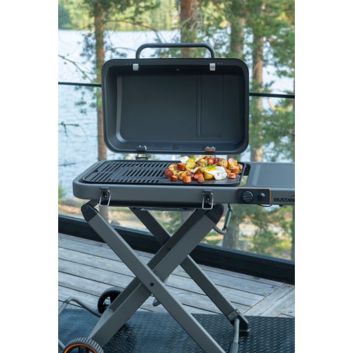 Gasolgrill Fold - Image 3