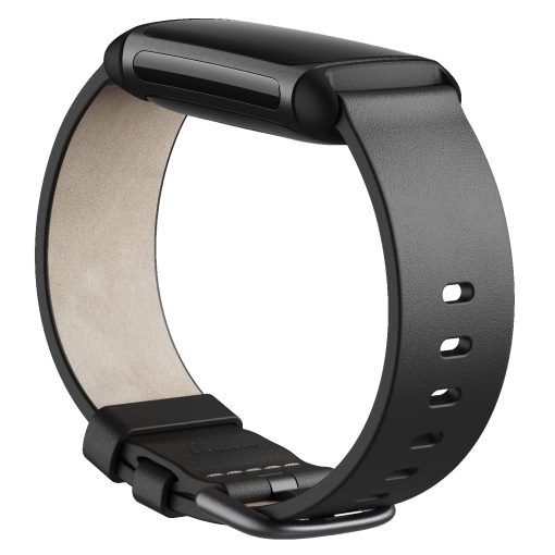 Charge 5/6 Leather Band Black (L) - Image 4