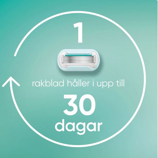 Rakhyvel Pro Smooth Sensitive + 1st rakblad - Image 11